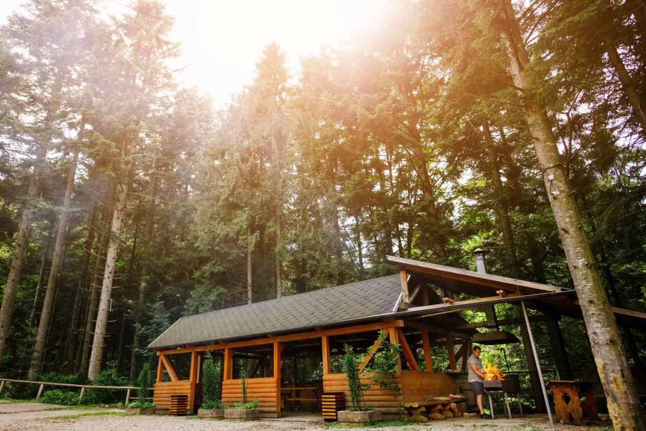 Zelenyy Bir Hotell Skhidnytsia Exteriör bild