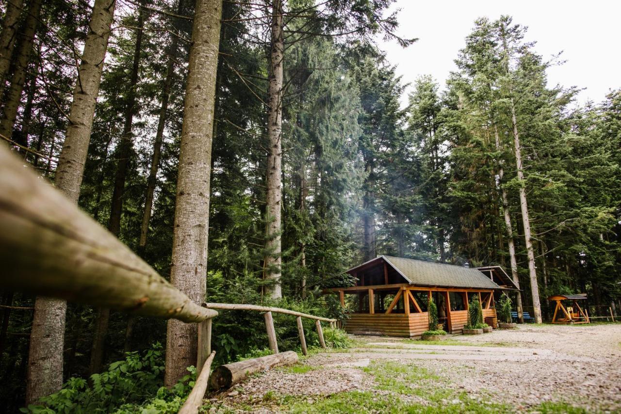 Zelenyy Bir Hotell Skhidnytsia Exteriör bild