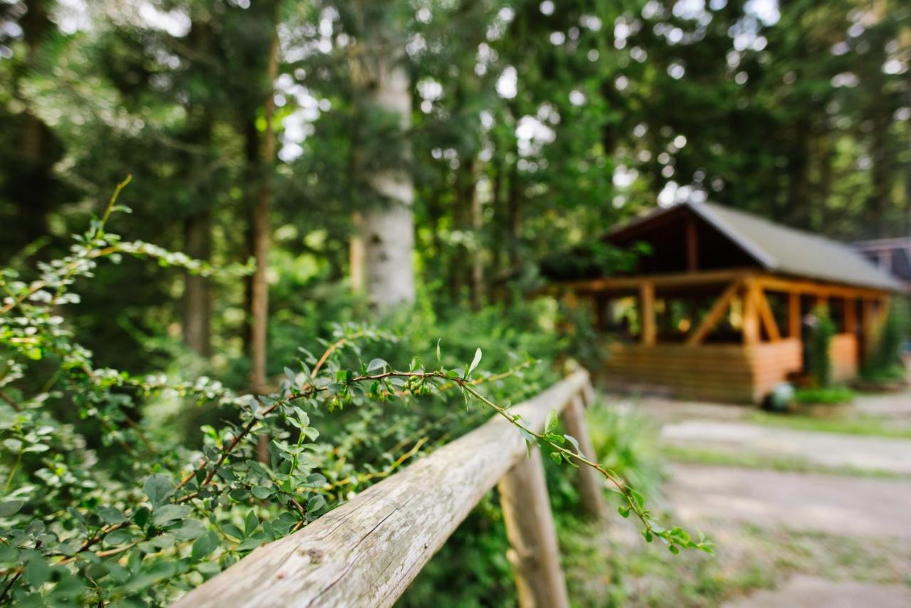 Zelenyy Bir Hotell Skhidnytsia Exteriör bild