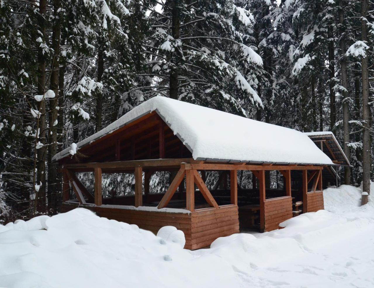 Zelenyy Bir Hotell Skhidnytsia Exteriör bild