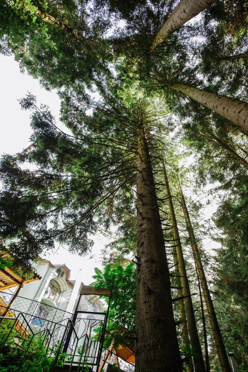Zelenyy Bir Hotell Skhidnytsia Exteriör bild